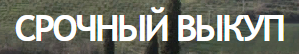 Дисконтавто отзывы